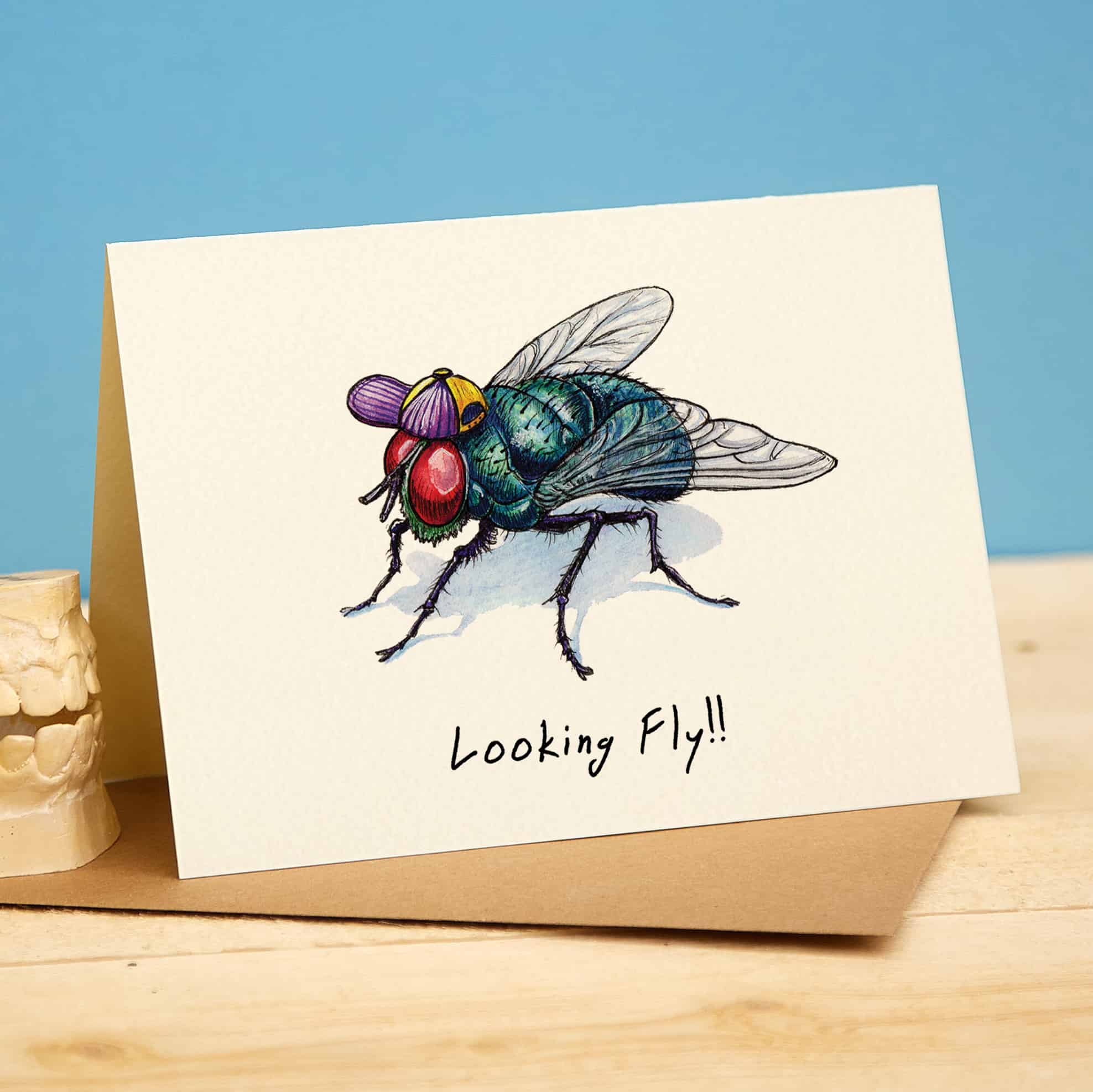 Looking Fly Card Funny Insect Card Bewilderbeest