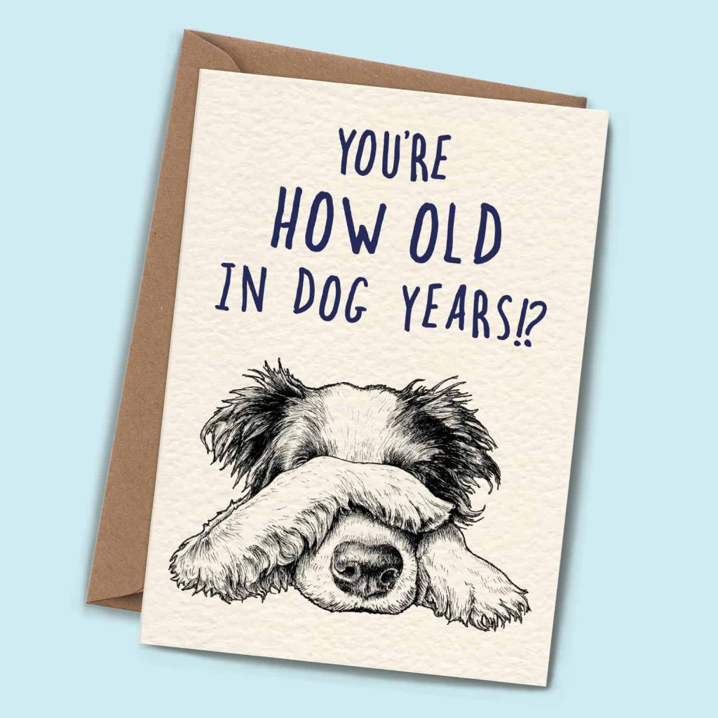 Dog Years Card - Funny Dog Birthday Card - Bewilderbeest