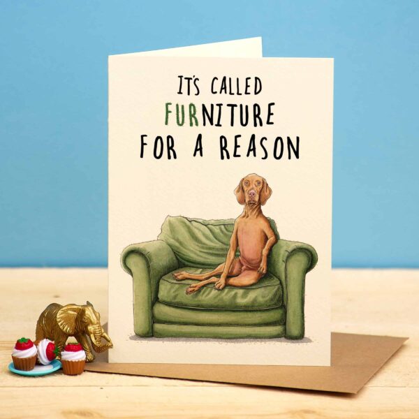 Furniture Dog Card