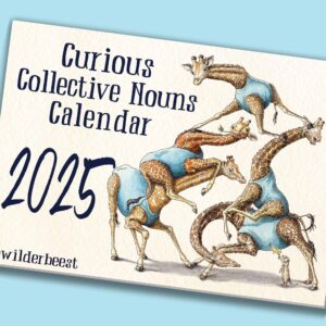 Curious Collective Nouns Calendar 2025